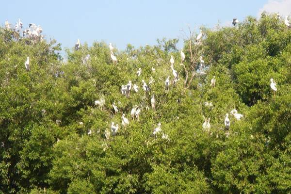 taxi to chachoengsao
